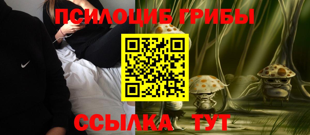 Псилоцибиновые грибы Psilocybine cubensis Славянск-на-Кубани